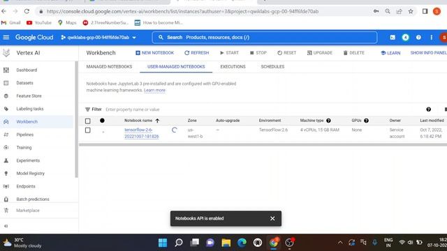 Advanced Visualizations with TensorFlow Data Validation | Google Cloud Platform | Qwiklabs смотреть онлайн