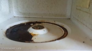 Как правильно ухаживать за микроволновкой.