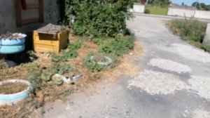 Дороги в гаражном кооперативе.