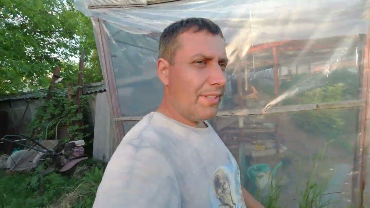 ВЫНЕСЛИ ВСЁ / ДАВНО НЕ ВКЛЮЧАЛ смотреть онлайн