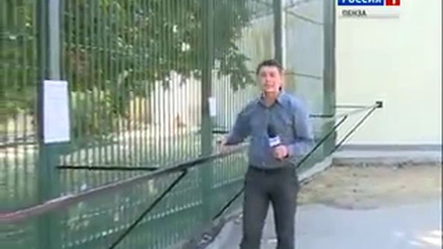 Львы пензенского зоопарка освоились в новом вольере смотреть онлайн