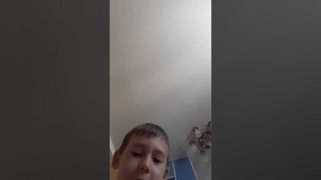 Мой хамяк лаки смотреть онлайн