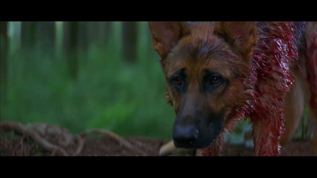 Bad Moon (1996) - Ted's Death Scene смотреть онлайн