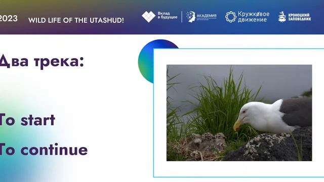 Открытие хакатона "Дикая жизнь Уташуда" смотреть онлайн