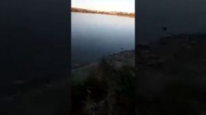 Как эхолот Тослон 500 показывает наличие рыбы