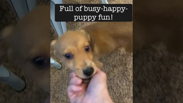 Buttercup -Power Puff Girls смотреть онлайн