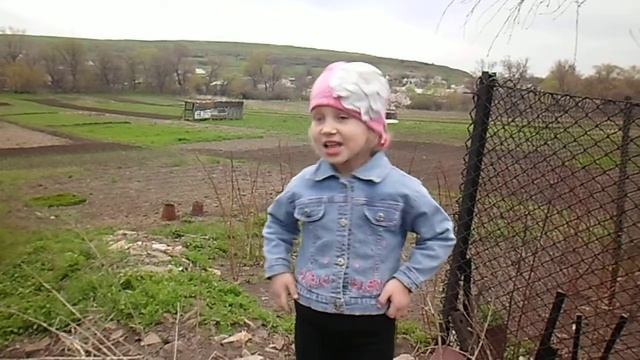 чёрный кот смотреть онлайн