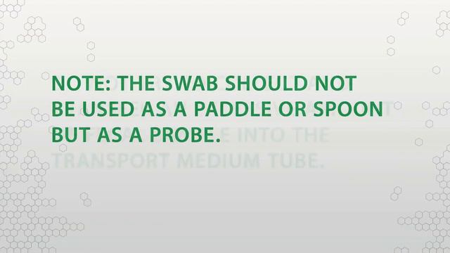 How to Use COPAN's FecalSwab™ for Stool Sample Collection смотреть онлайн