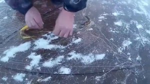 Рыбалка на Хапугу хлопок, зимой  Зимняя рыбалка на Амуре