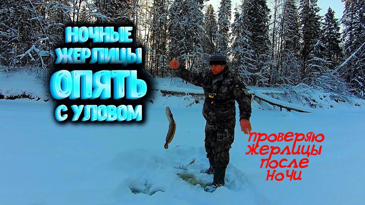 ✔ Ночные ЖЕРЛИЦЫ опять с УЛОВОМ проверяю оставленные на ночь жерлицы смотреть онлайн