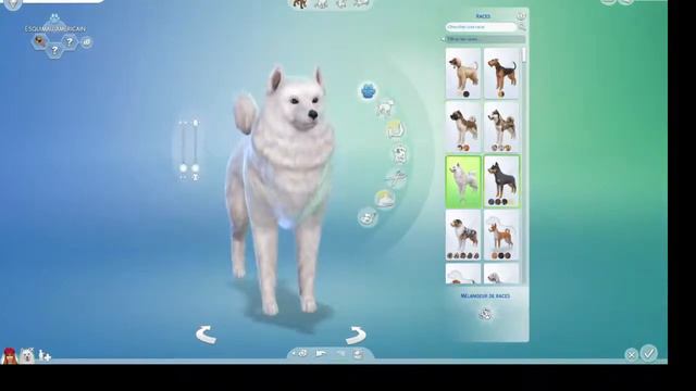 On teste le pack chien et chat sims 4 смотреть онлайн