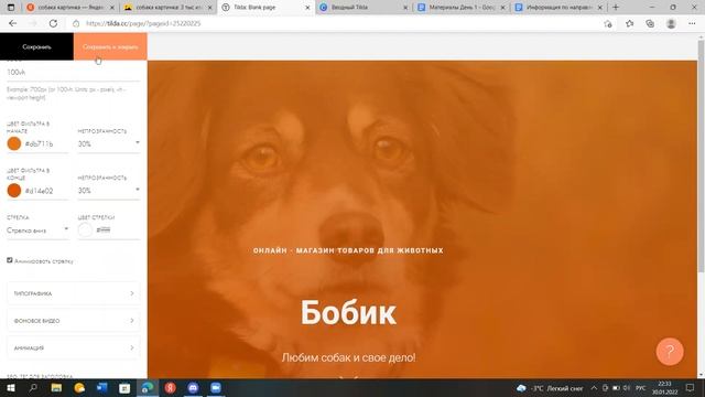 веб дизайн tilda смотреть онлайн