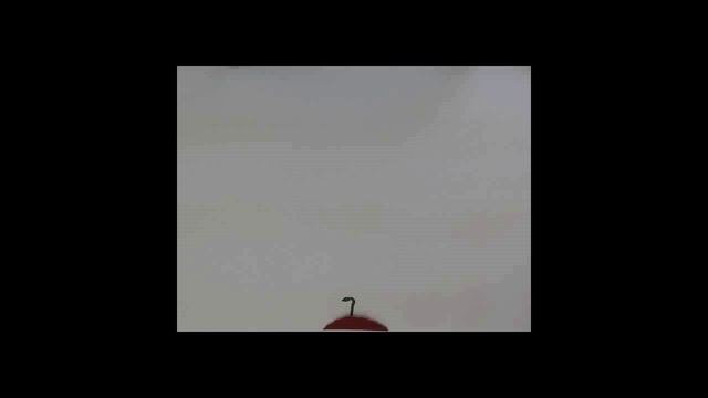 с 8 марта дорогие дамы! 😘 смотреть онлайн