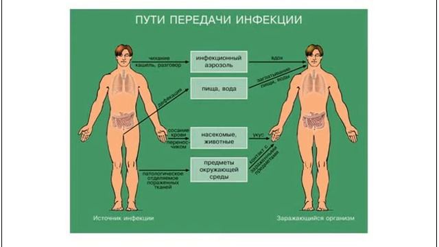 Сахиева М Е Репродуктивті денсаулық 28 09 2020 16 51 14 смотреть онлайн