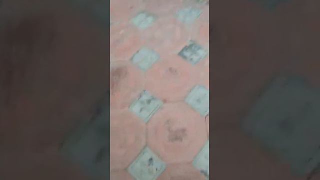 Одна часть от видимо 😋 смотреть онлайн