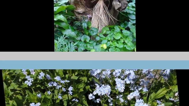 Какой декор для сада можно сделать своими руками смотреть онлайн