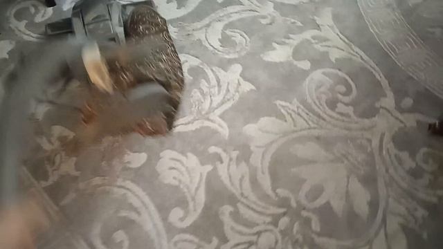 Пылесос Kirby Sentria 2 2013 г.в раб с 2014 года смотреть онлайн