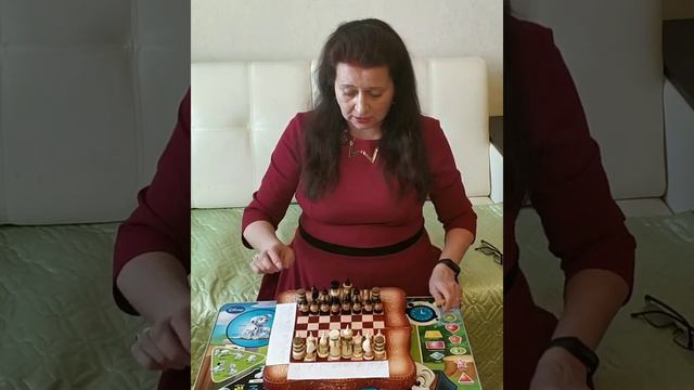 Шахматы для начинающих смотреть онлайн