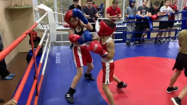 Спарринги в СК Пролетарка Расул смотреть онлайн