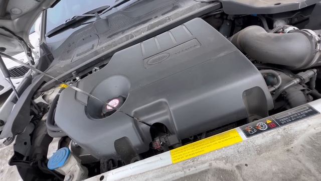 31.07.23 Обзор аукциона Лотте смотреть онлайн