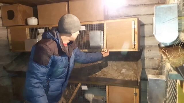 Обзор маточника для кроликов//Ставим маточники в клетки//Ждем потомства!!! смотреть онлайн