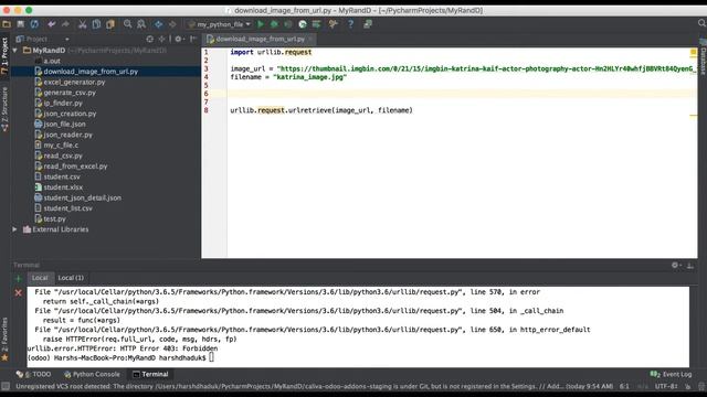 How to download url image using Python3 смотреть онлайн