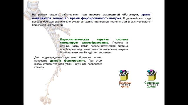 Бронхообструктивный синдром, синдром повышенной воздушности легочной ткани (эмфизема) смотреть онлайн