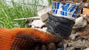 Борьба с муравьями и тлёй на деревьях | Спасаем черешню от тли  тля