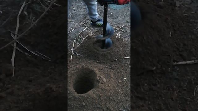 Spalinowa wiertnica do ziemi смотреть онлайн