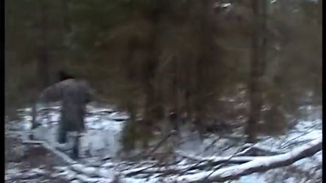 охота с лайкой смотреть онлайн