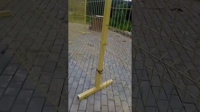 1000001193.mp4 смотреть онлайн