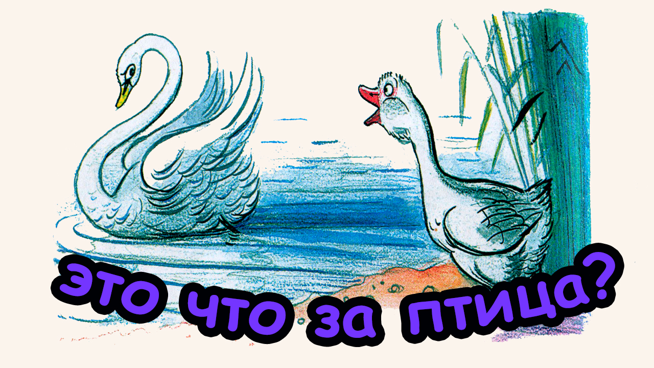 Сказка ЧТО ЗА ПТИЦА? / В. Сутеев смотреть онлайн