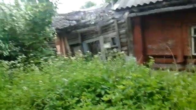 Реклама на деревню Елизоветино смотреть онлайн