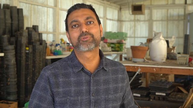 How to Grow Strong Seedlings & Prevent Stunted Seedlings смотреть онлайн