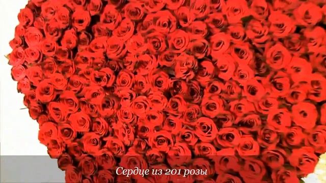 Сердце из 201 розы. Доставка цветов Астана. смотреть онлайн