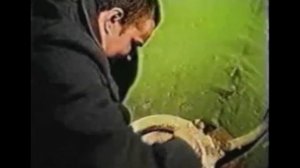 Зеленый Слоник - Чисти Говно