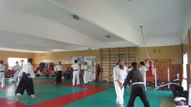 СЕМИНАР 9,10 апреля Житомир Лучшие мастера айкидо Гатана-рю Такеда-рю Ешинкан смотреть онлайн