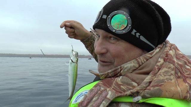 Рыбалка на Черном море. Севастополь. Селедка на все крючки смотреть онлайн