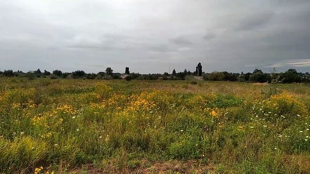Nature of Donbass. Природа Донбасса смотреть онлайн