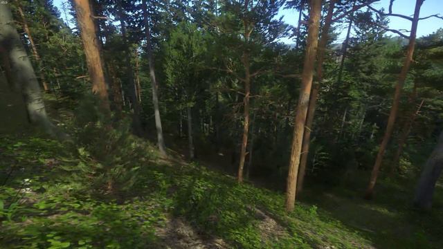 Kingdom Come Deliverance Is the Most Realistic Looking Open World Game So Far! (Majestic Reshade) смотреть онлайн