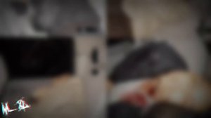 La Autopsia de Valentín Elizalde ~ Vídeo Perdido en Youtube