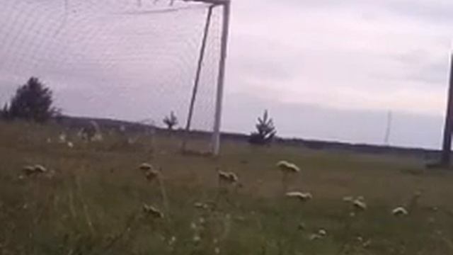 Челенджи удары по воротам смотреть онлайн