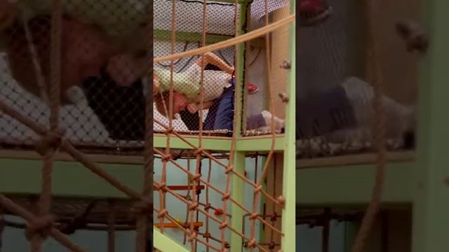 Детский праздник в SavAnna Kids Club смотреть онлайн