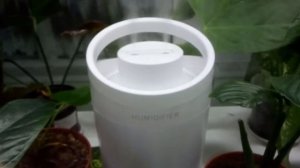 Увлажнитель воздуха для цветов