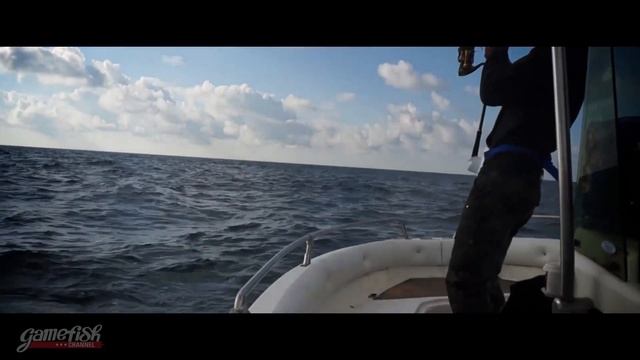 Fishing with DUO #7 - Tuna on Press Bait Saira смотреть онлайн