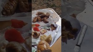 Рыбалка в мохово