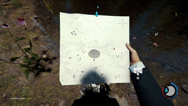 The Forest. Эхинацея