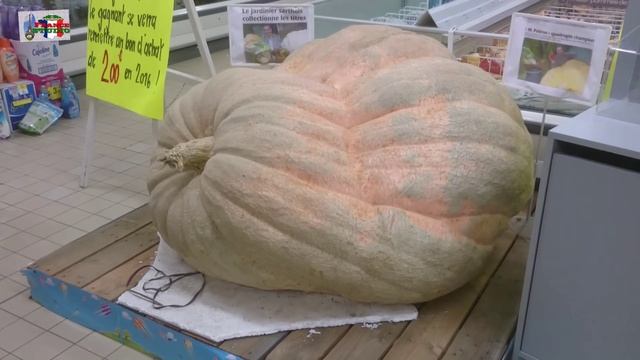 Тыква весом 680 кг смотреть онлайн