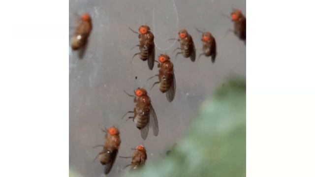 Строительные Шаблоны