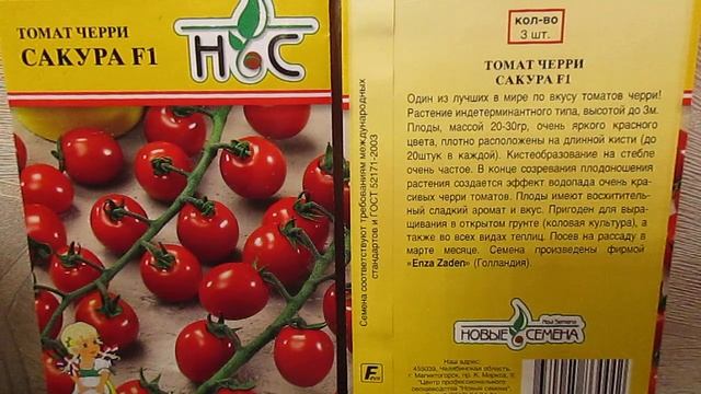 Уникальный гибрид томата САКУРА.03.11.2019 смотреть онлайн